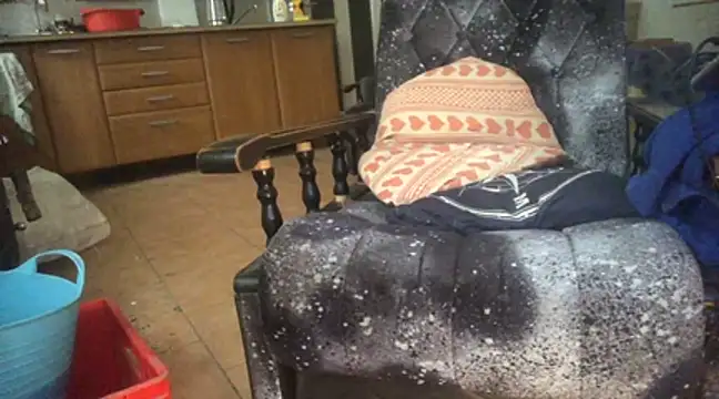 Snapshot of translove chatting on 01/05/25, 09:48 translove online show from 01/05/25, 09:48