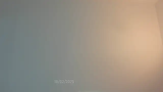 sweetest bella online show from 02/18/25, 09:31