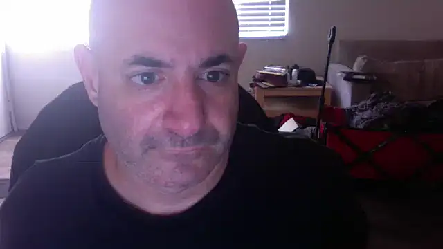 palidin1 online show from 11/24/25, 09:36