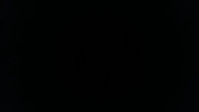 palidin1 online show from 11/26/25, 01:17