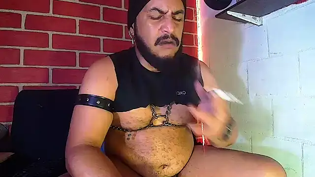 the master foal  online show from 01/12/25, 11:39