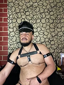 the master foal  online show from 03/10/26, 08:14