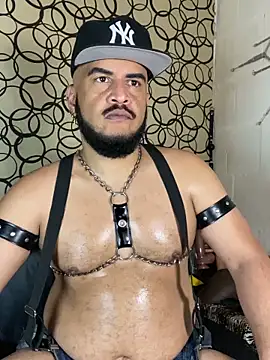 the master foal  online show from 03/12/26, 07:47