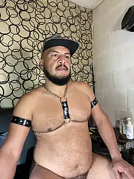 the master foal  online show from 04/19/26, 07:18