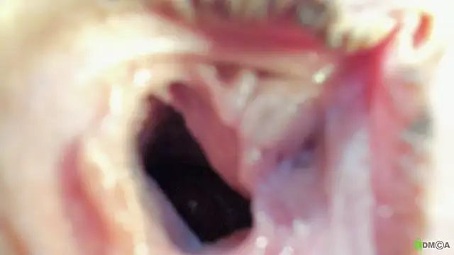 Courtney Luv online show from 09/19/25, 02:51