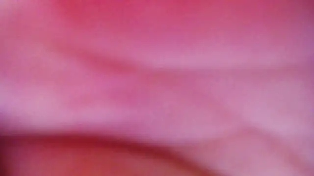 JessikaDaniel online show from 04/16/26, 06:36