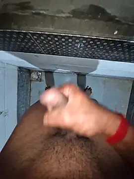 Snapshot of breejs chatting on 02/25/25, 05:19 breejs online show from 02/25/25, 05:19