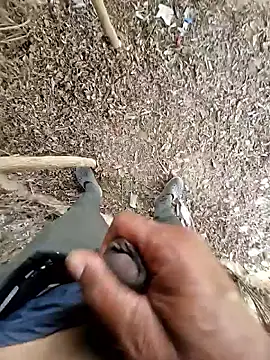 Snapshot of breejs chatting on 10/23/25, 06:02 breejs online show from 10/23/25, 06:02