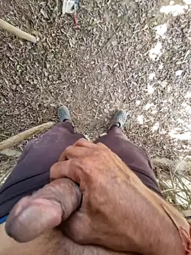 Snapshot of breejs chatting on 11/15/25, 06:55 breejs online show from 11/15/25, 06:55