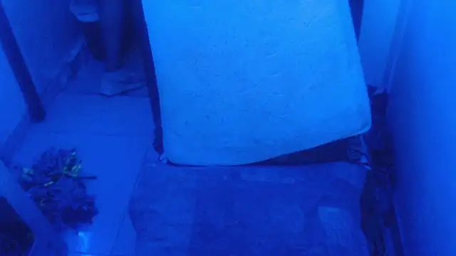 selenax2023 online show from 02/02/26, 11:03