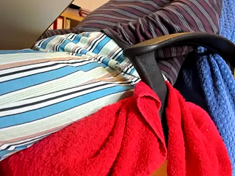 leccaleccafiga online show from 01/27/25, 08:07