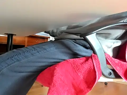 leccaleccafiga online show from 02/13/25, 09:20