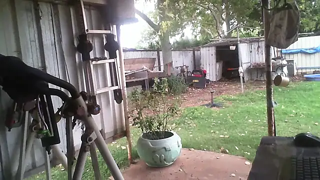 herbie010666 online show from 02/03/26, 06:40