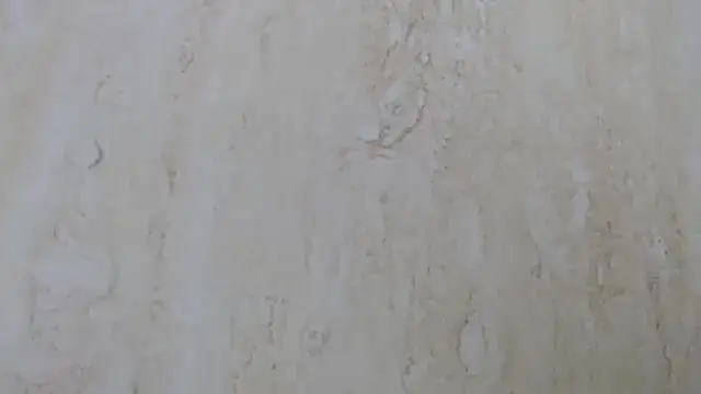 Crazy team  online show from 12/11/24, 11:30