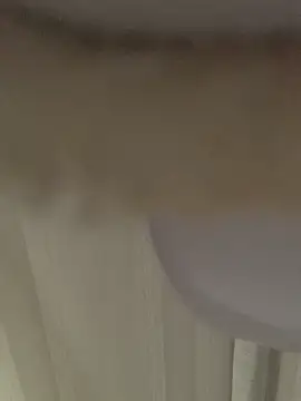 Snapshot of GHsveter chatting on 03/31/26, 10:37 GHsveter online show from 03/31/26, 10:37