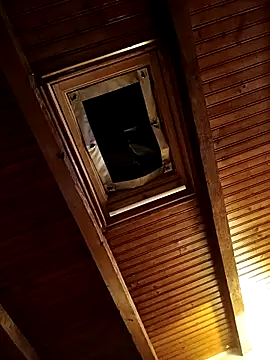 CurlyElisa online show from 02/26/26, 09:36