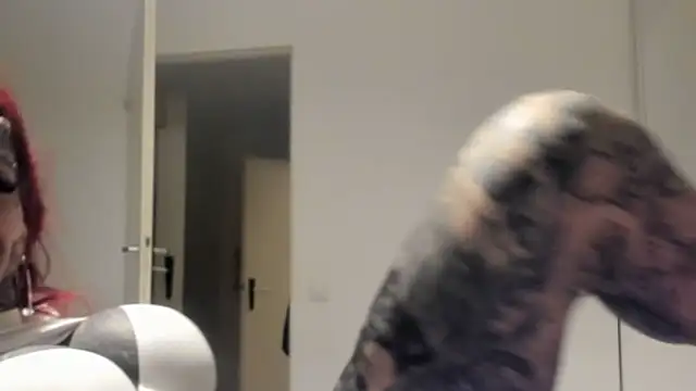 Snapshot of tamarapervert chatting on 03/13/26, 11:22 tamarapervert online show from 03/13/26, 11:22