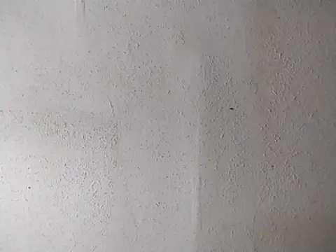 247Srokin online show from 04/13/26, 07:14