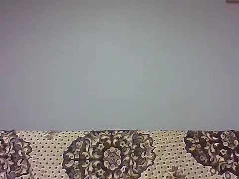 Snapshot of aroj95 chatting on 11/09/25, 04:44 aroj95 online show from 11/09/25, 04:44