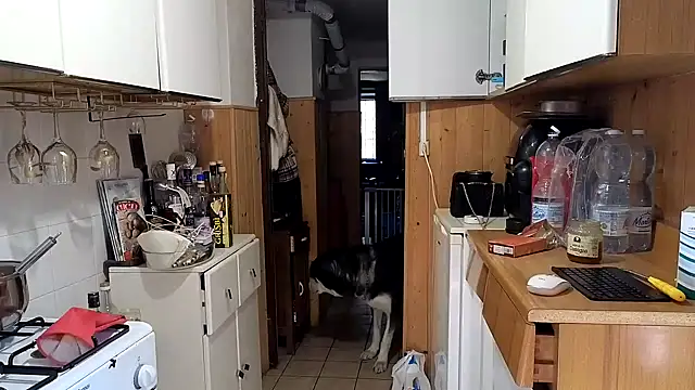 VanessaDoyle online show from 02/26/26, 08:57