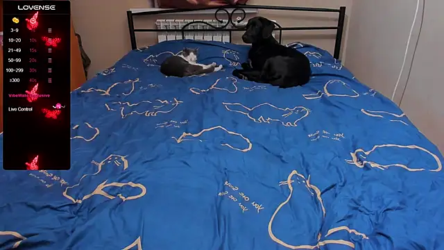 eva zero online show from 10/05/25, 03:32