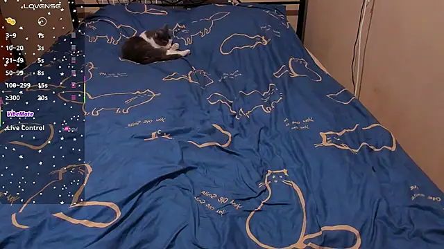 Snapshot of eva_zero chatting on 02/27/26, 02:28 eva zero online show from 02/27/26, 02:28