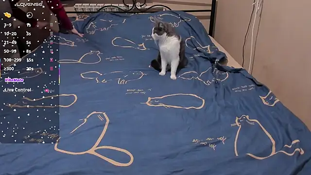 Snapshot of eva_zero chatting on 03/03/26, 02:01 eva zero online show from 03/03/26, 02:01