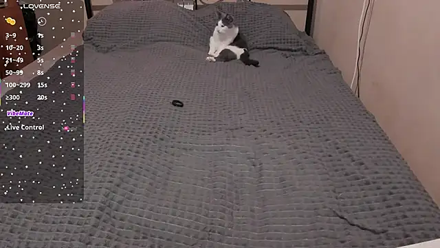 Snapshot of eva_zero chatting on 03/28/26, 11:10 eva zero online show from 03/28/26, 11:10