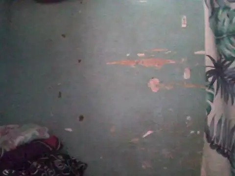 Snapshot of Silly_Girl21 chatting on 02/26/26, 04:22 Silly Girl21 online show from 02/26/26, 04:22