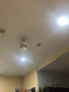 dingoding online show from 02/07/25, 10:40