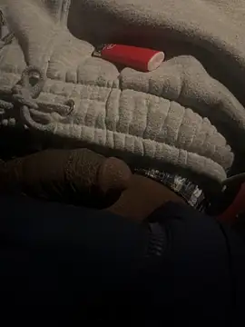 dingoding online show from 02/22/25, 01:44