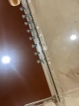 dingoding online show from 03/21/25, 06:51