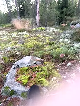 Snapshot of Andreashow chatting on 09/22/25, 04:09 Andreashow online show from 09/22/25, 04:09