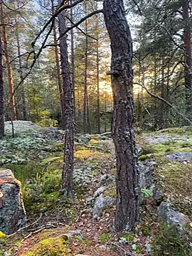 Snapshot of Andreashow chatting on 10/19/25, 02:29 Andreashow online show from 10/19/25, 02:29