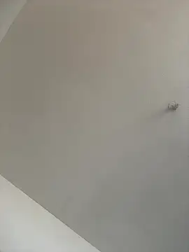 waakenda online show from 01/09/26, 07:04