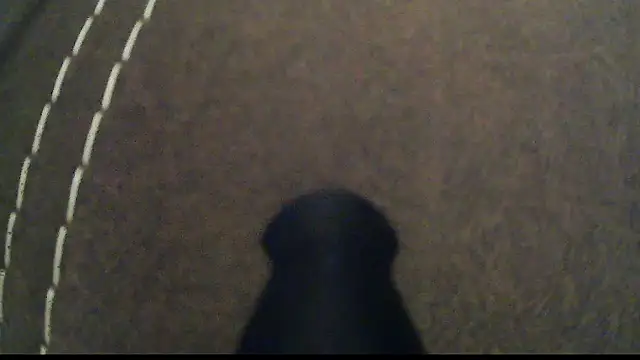 Snapshot of Dzutt chatting on 01/12/25, 05:33 Dzutt online show from 01/12/25, 05:33