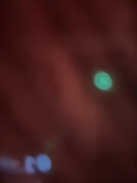  Danna online show from 02/14/26, 11:07