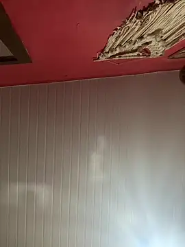 pimenta gaby online show from 03/08/26, 02:43