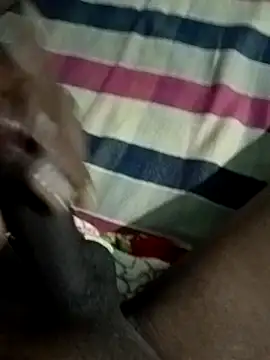 Like african online show from 04/19/26, 08:44