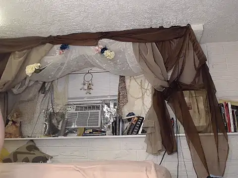 Snapshot of MaxiMillz chatting on 11/23/25, 02:22 MaxiMillz online show from 11/23/25, 02:22