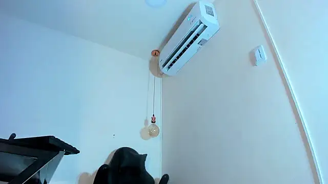 Snapshot of xGenesis_Miller_ chatting on 01/21/25, 11:55 xGenesis Miller online show from 01/21/25, 11:55