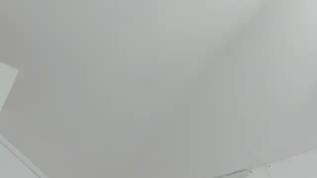 KendalStallyon online show from 12/22/25, 08:50