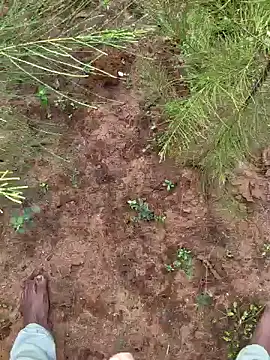 Gopal1243 online show from 12/09/24, 03:29