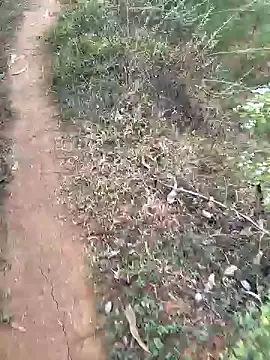 Gopal1243 online show from 01/15/25, 02:27