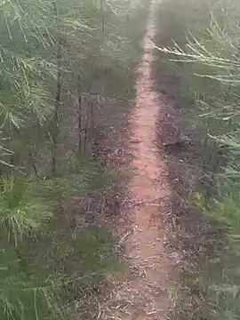 Gopal1243 online show from 02/17/25, 01:47