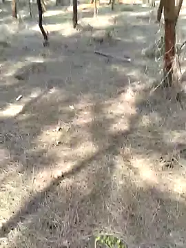 Gopal1243 online show from 02/20/25, 05:33