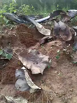 Gopal1243 online show from 02/20/25, 12:04