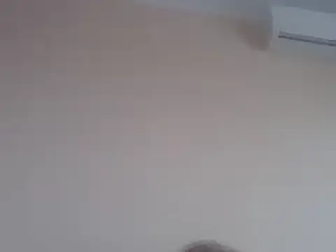 Snapshot of aavocadok chatting on 12/12/24, 08:03 aavocadok online show from 12/12/24, 08:03