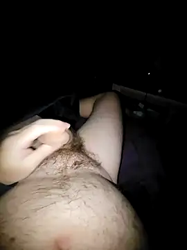 Snapshot of thefox92 chatting on 12/29/24, 12:41 thefox92 online show from 12/29/24, 12:41