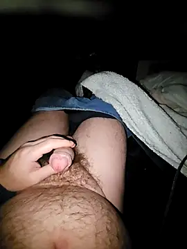 Snapshot of thefox92 chatting on 02/04/25, 12:40 thefox92 online show from 02/04/25, 12:40